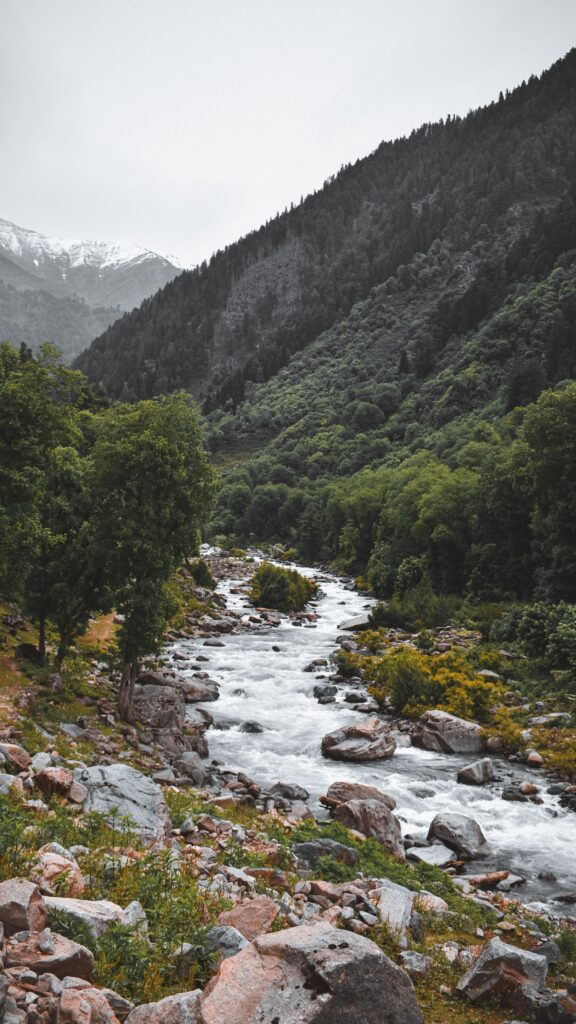 Gurez Valley Tour