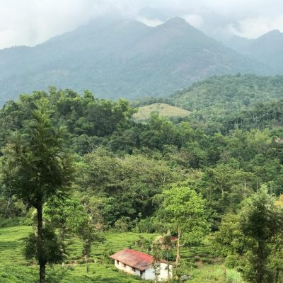 Bekal and Wayanad