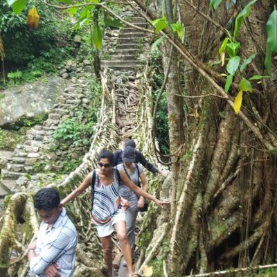 Meghalaya & Pobitora