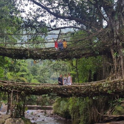 Meghalaya & Pobitora