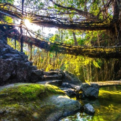 Meghalaya