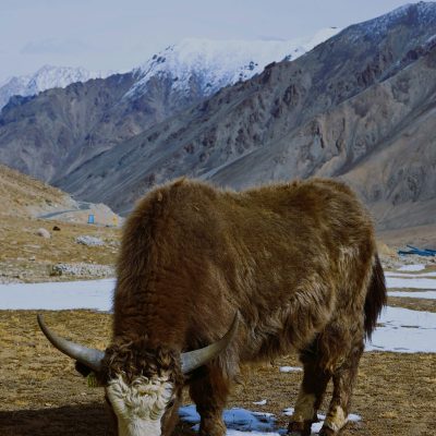 aana-tOvo66gOpe0-unsplash