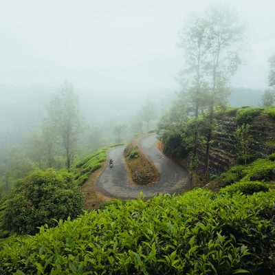 abin-pp-piYsVv5lMBU-unsplash