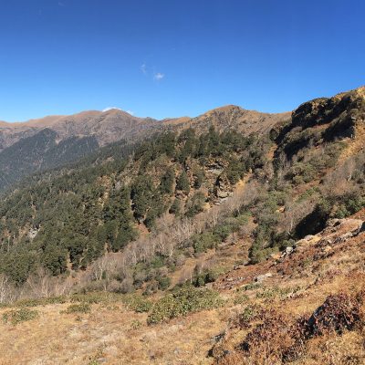 chaainsheel uttarakhand