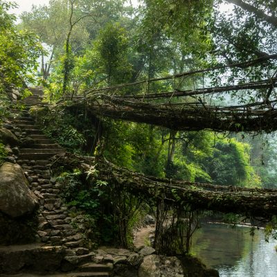 Meghalaya
