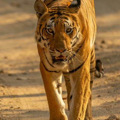 hans-jurgen-mager-Fbdr6gXJBVY-unsplash