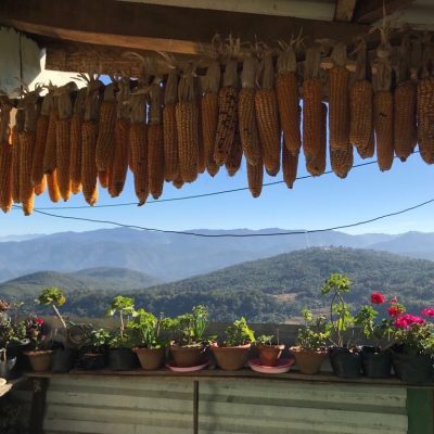 latestIMG_2188 Large