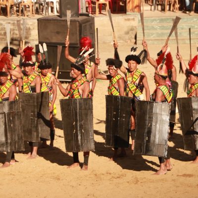 latestIMG_3372 (2) Large