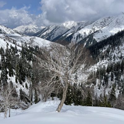 latestIMG_8712 Large