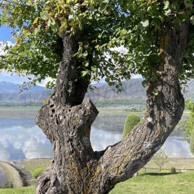 latestIMG_8734 Large