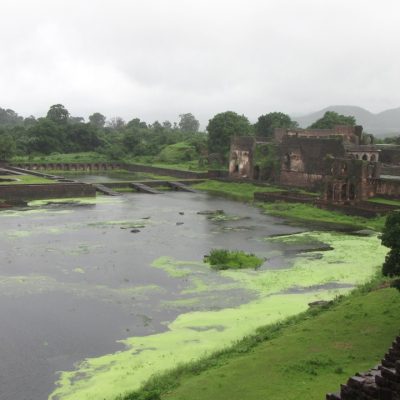 latestIMG_8796 Large