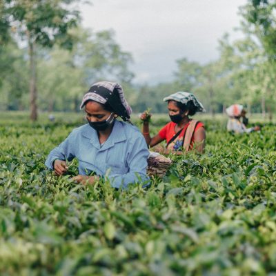 nilotpal-kalita-pJHaHQJ0PPk-unsplash