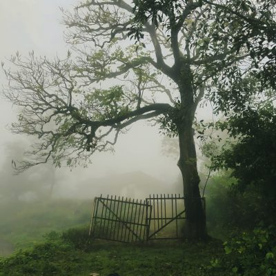 pexels-nikhil-1593830208-27434446