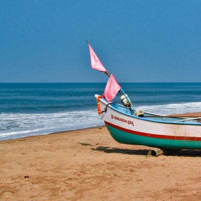 pexels-saurabh-kumar-1184775-29397739