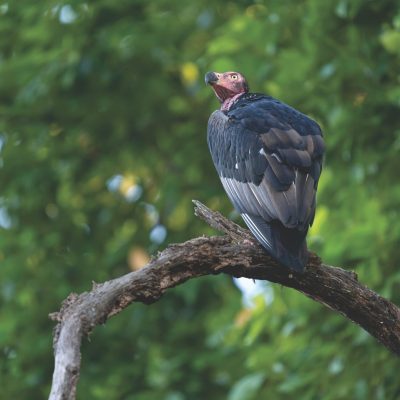 rohit-varma-nGluE8be59c-unsplash