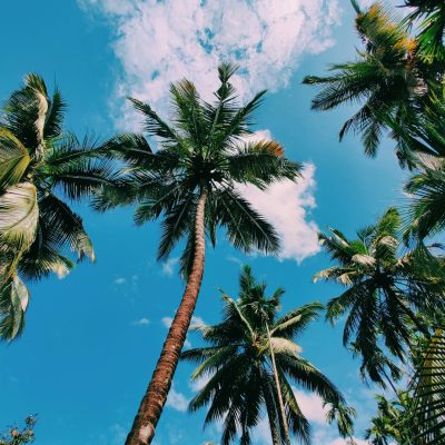 sonaal-bangera-kpDO0woxxec-unsplash