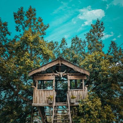 tshewe-rhakho-amgWhtCRDKE-unsplash